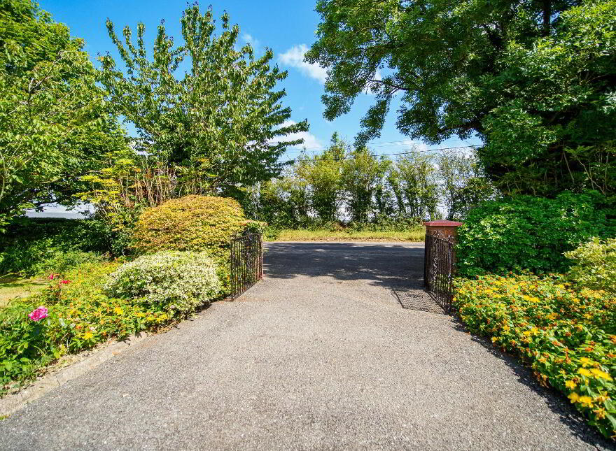 Moanleana, Newcastle West, V42E365