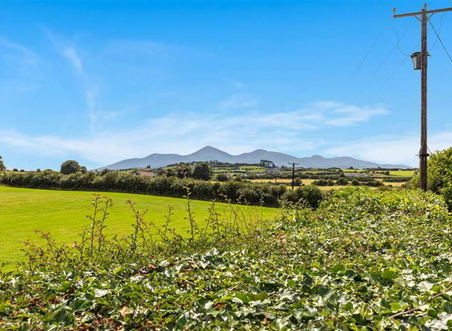 6 Point Road, Downpatrick, BT30 8HS