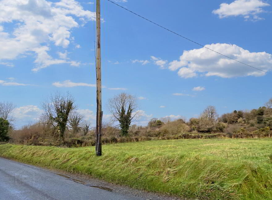 Sorrell, Ballyhea, Charleville photo