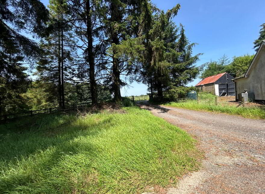 Loughmacrory Lodge, Loughmacrory Road, Loughmacrory, Omagh, BT79 9LG