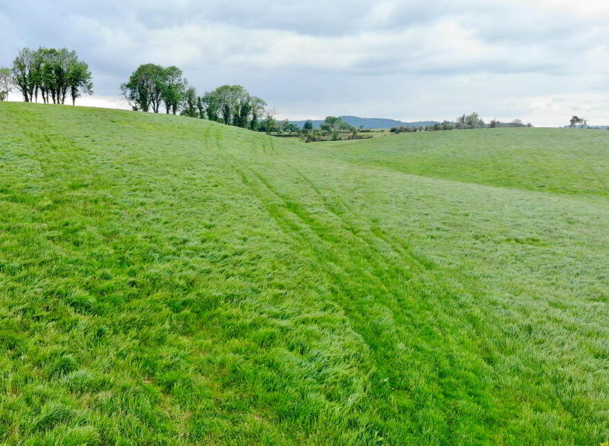 25.84 Acres @ Altadaven Road, Fymore, Augher, BT77 0EN