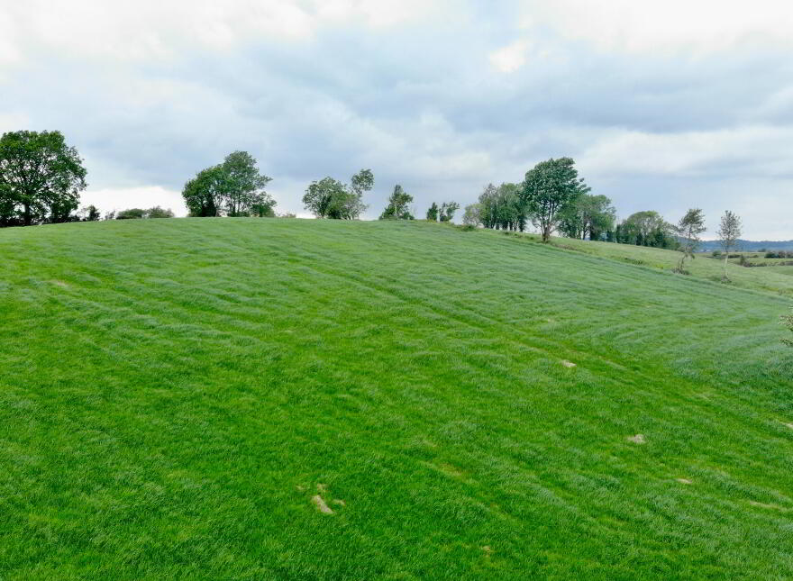 25.84 Acres @ Altadaven Road, Fymore, Augher, BT77 0EN