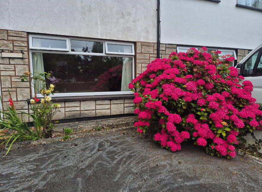 Ballybay Road, Carrickmacross, A81CD68