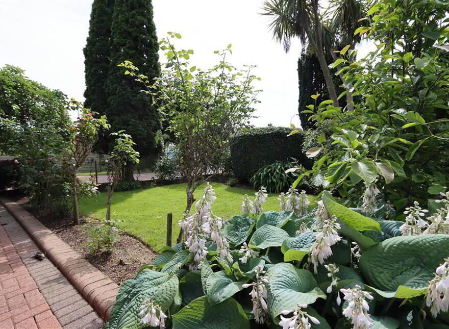 3 Lynnehurst Park, Glen Road, Comber, BT23 5LW