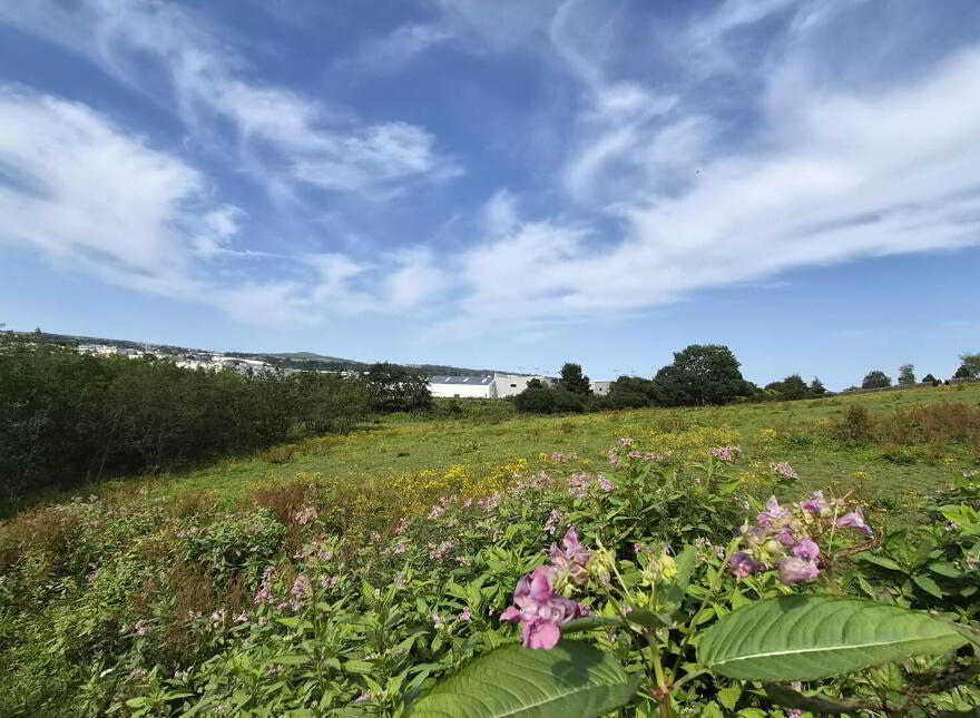 14 Leck Cottages, Letterkenny, F92E6X9