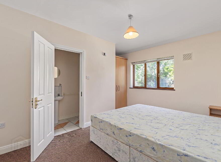 20 Chestnut Hall, Johnstown, C15XK27