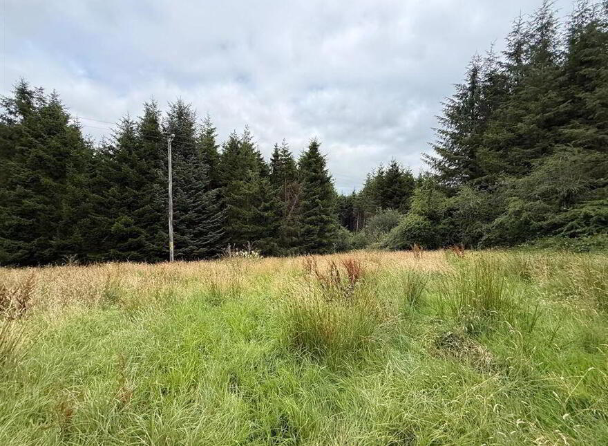 Rose Cottage, Roosky, Ballaghaderreen, F45XC44