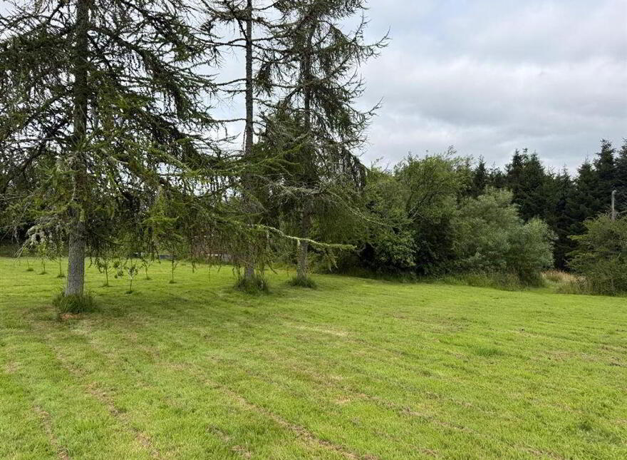 Rose Cottage, Roosky, Ballaghaderreen, F45XC44
