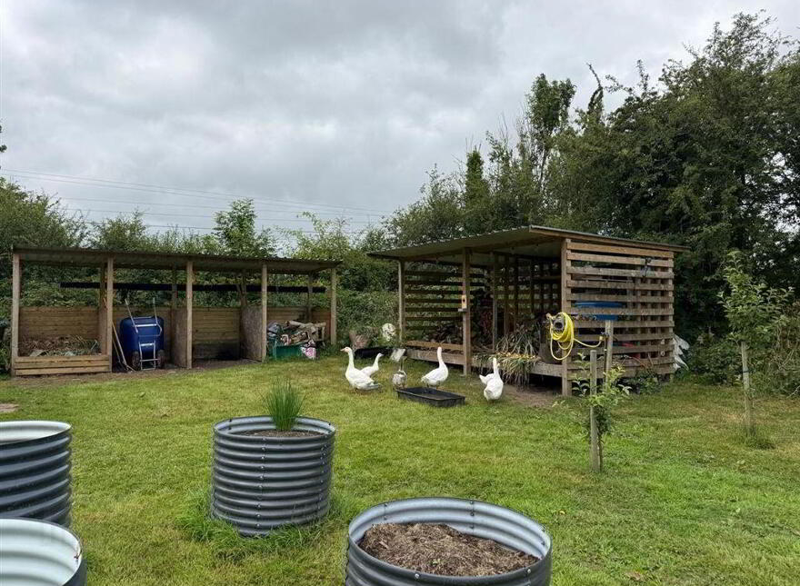Rose Cottage, Roosky, Ballaghaderreen, F45XC44