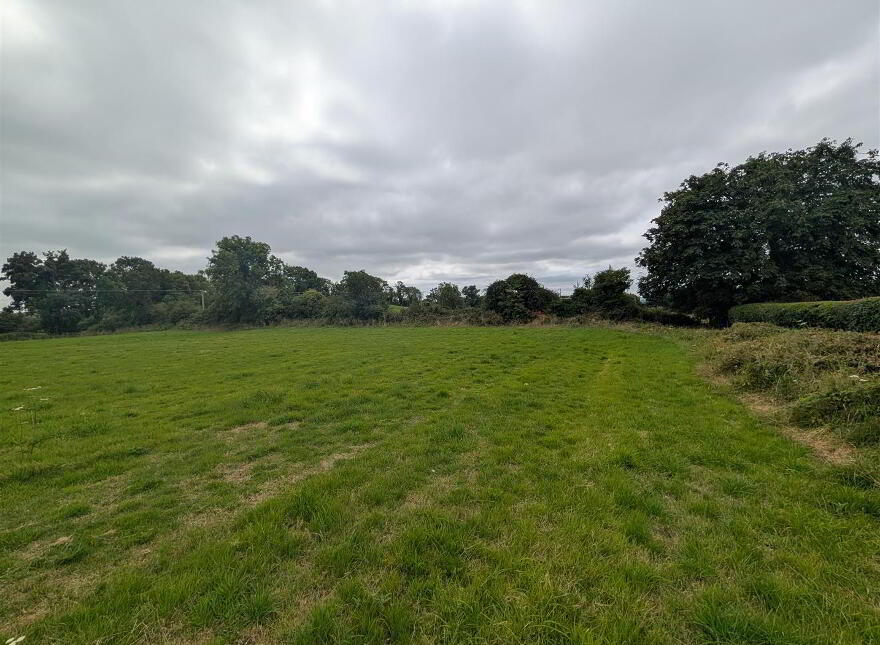 Land, Downpatrick Road, Crossgar, BT30 9EQ