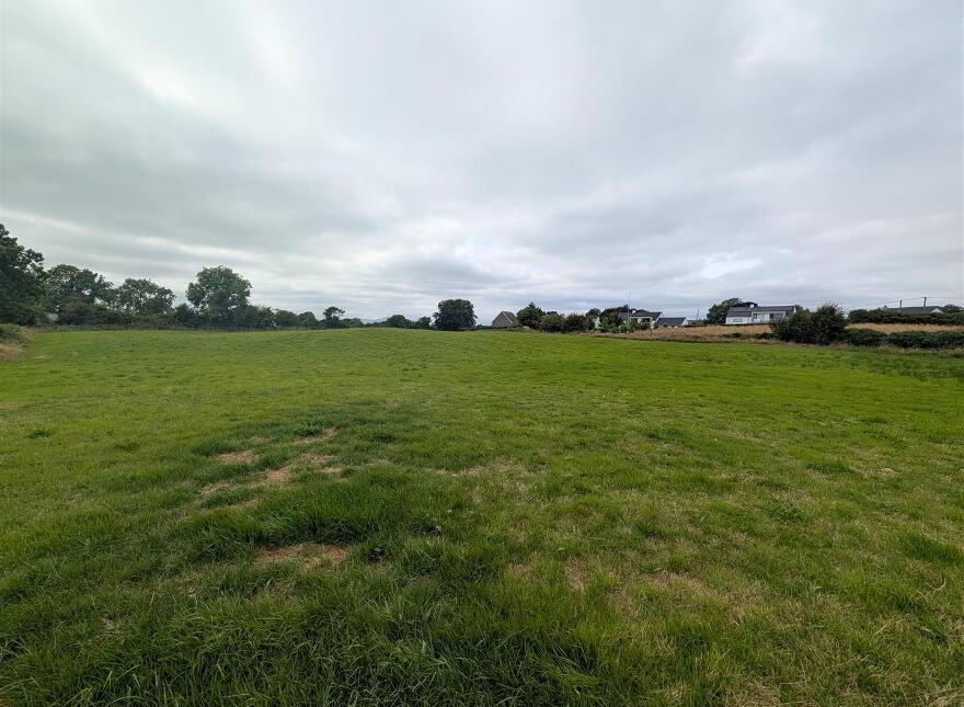 Land, Downpatrick Road, Crossgar, BT30 9EQ