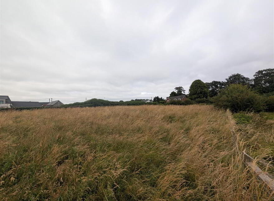 Land, Downpatrick Road, Crossgar, BT30 9EQ