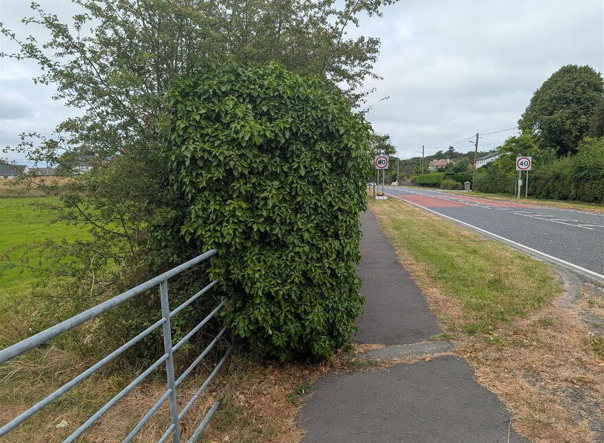 Land, Downpatrick Road, Crossgar, BT30 9EQ