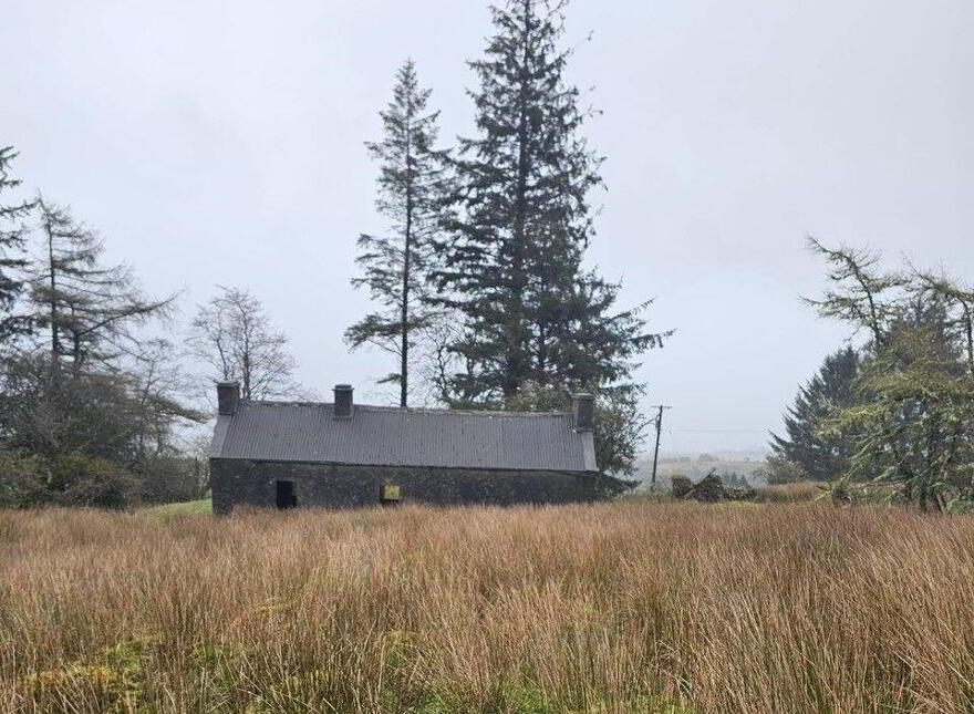 Altiquin, Drumkeerin, Leitrim