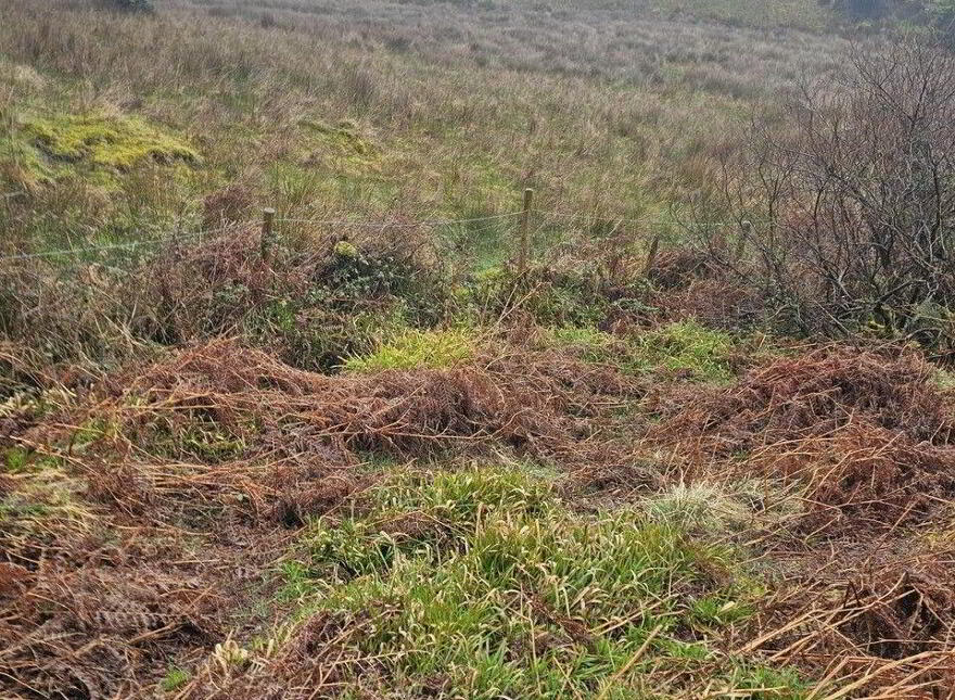 Altiquin, Drumkeerin, Leitrim