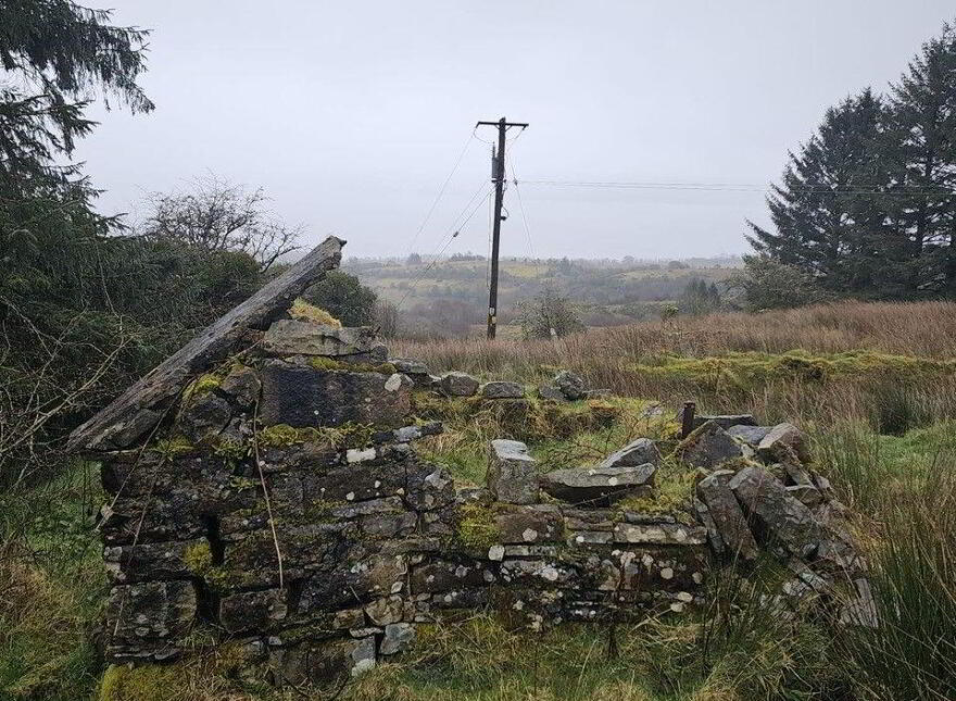 Altiquin, Drumkeerin, Leitrim