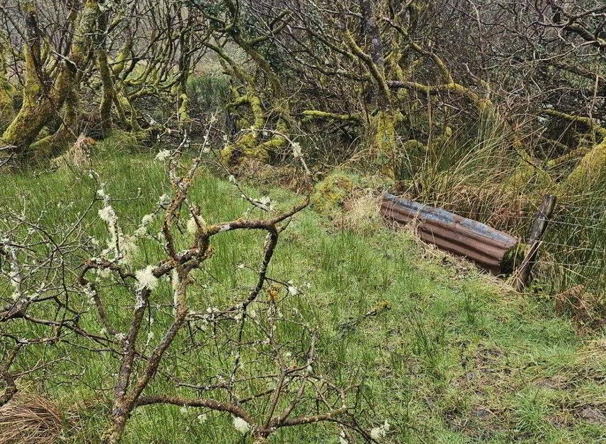 Altiquin, Drumkeerin, Leitrim