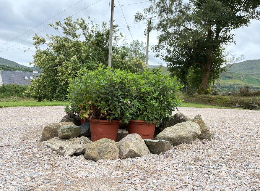 Drumaghy, Ardara, F94C92T