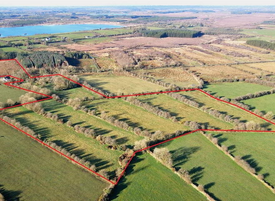 Currahard, Lisacul