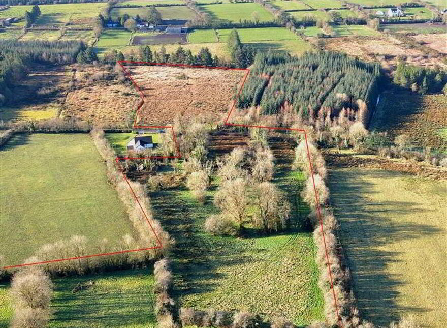 Currahard, Lisacul