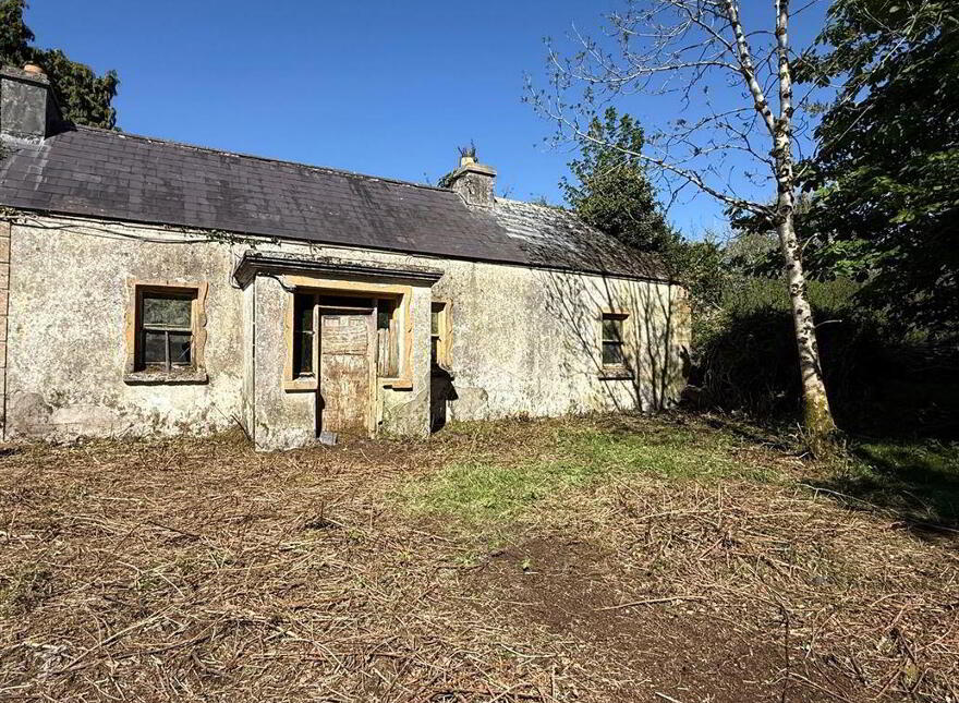 Tawnymucklagh, Monasteraden, F45Y652