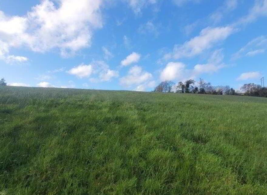 Cleen, Dromahair