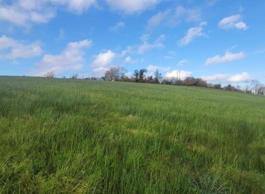 Cleen, Dromahair