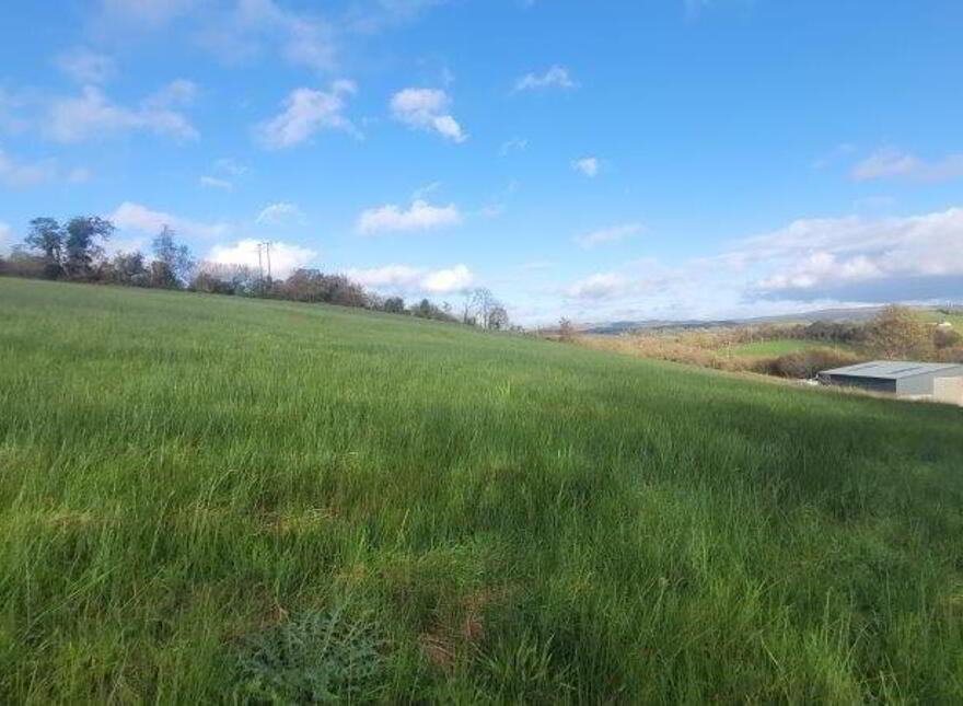 Cleen, Dromahair