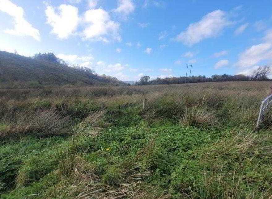 Cleen, Dromahair