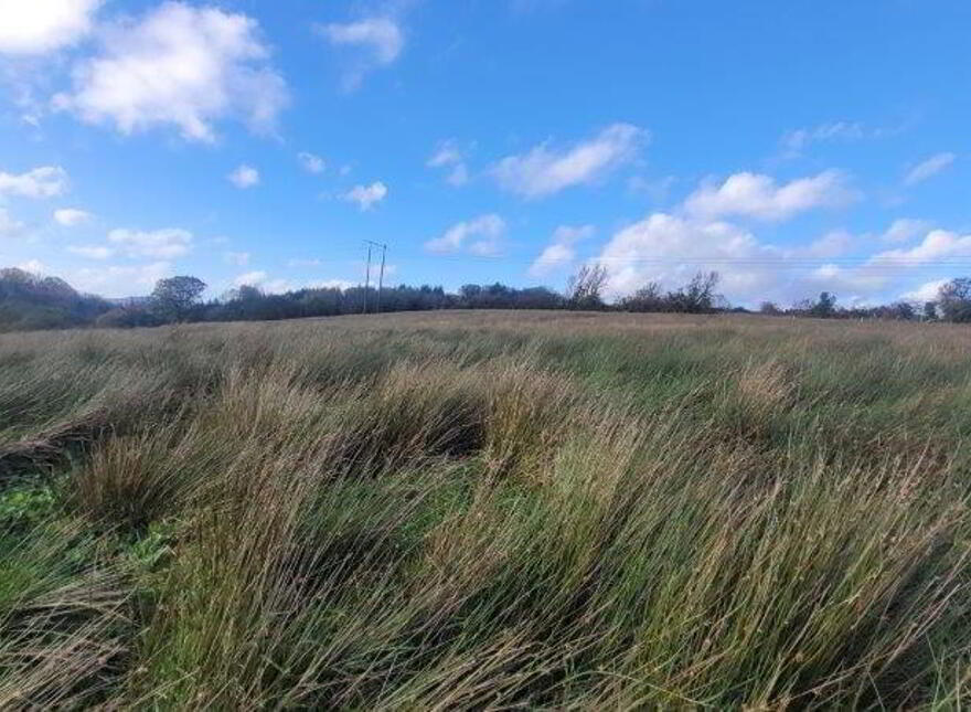 Cleen, Dromahair
