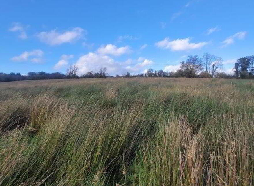 Cleen, Dromahair
