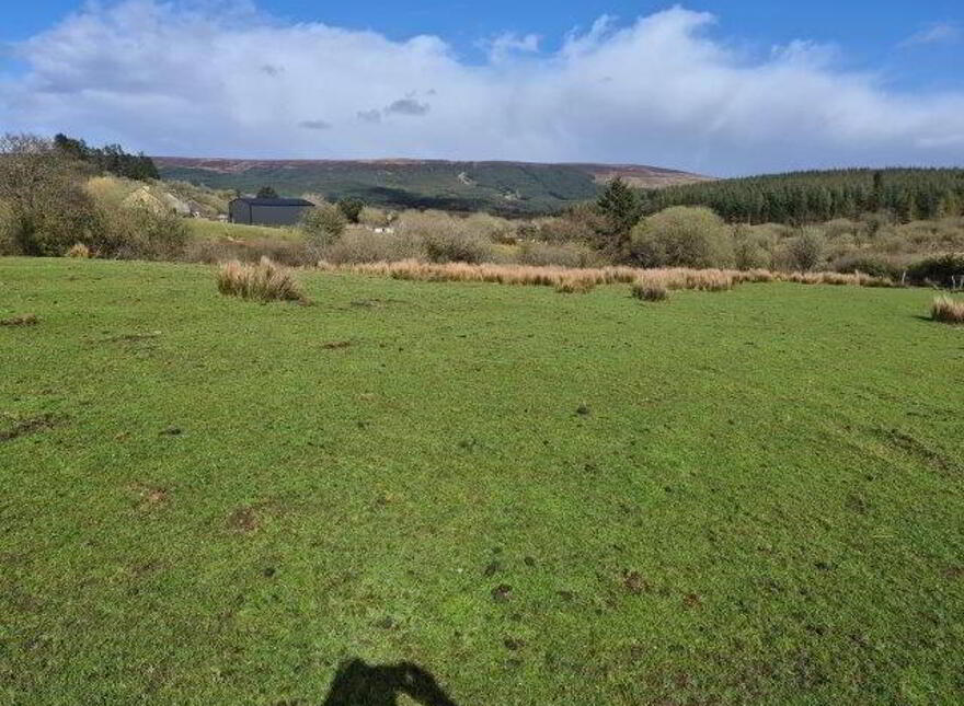 Coolegriene, Dowra