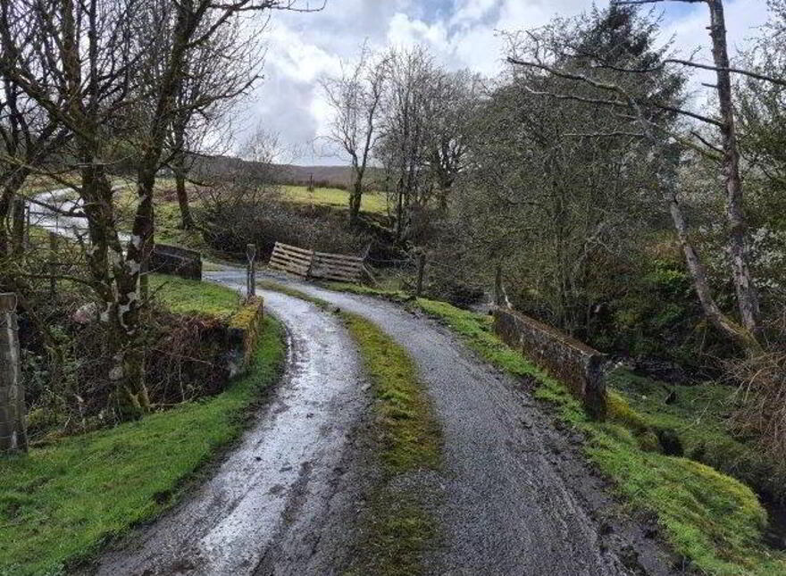 Coolegriene, Dowra