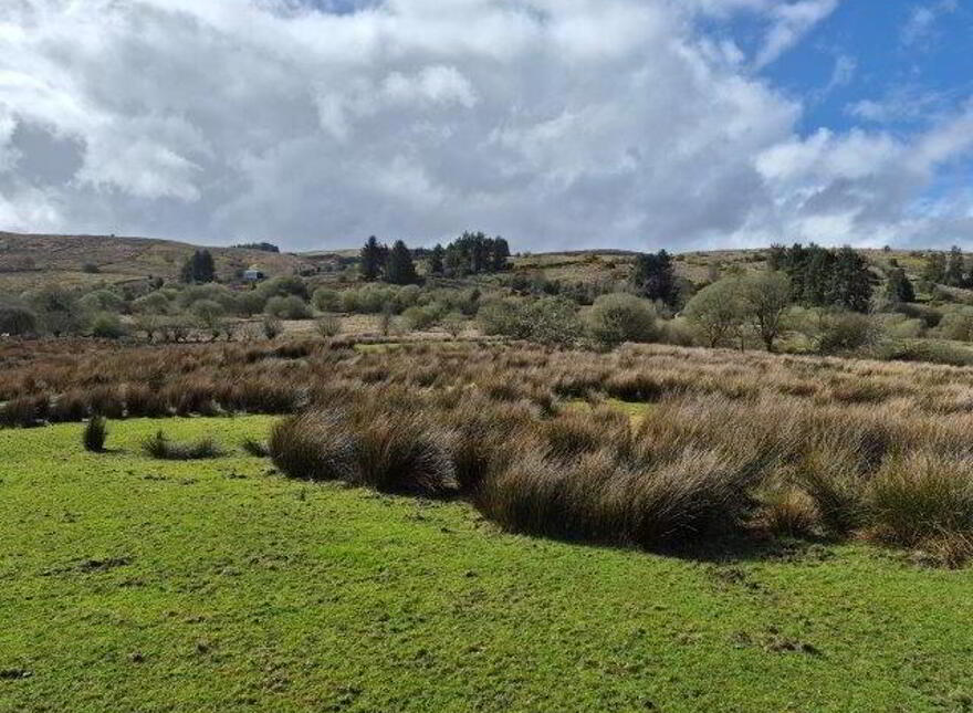 Coolegriene, Dowra