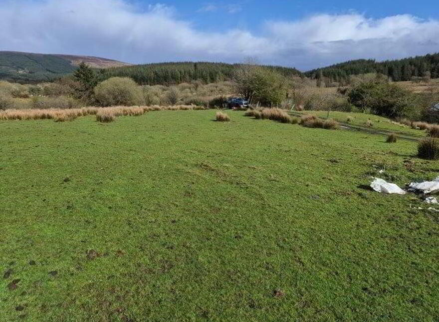 Coolegriene, Dowra