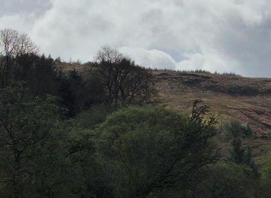 Coolegriene, Dowra