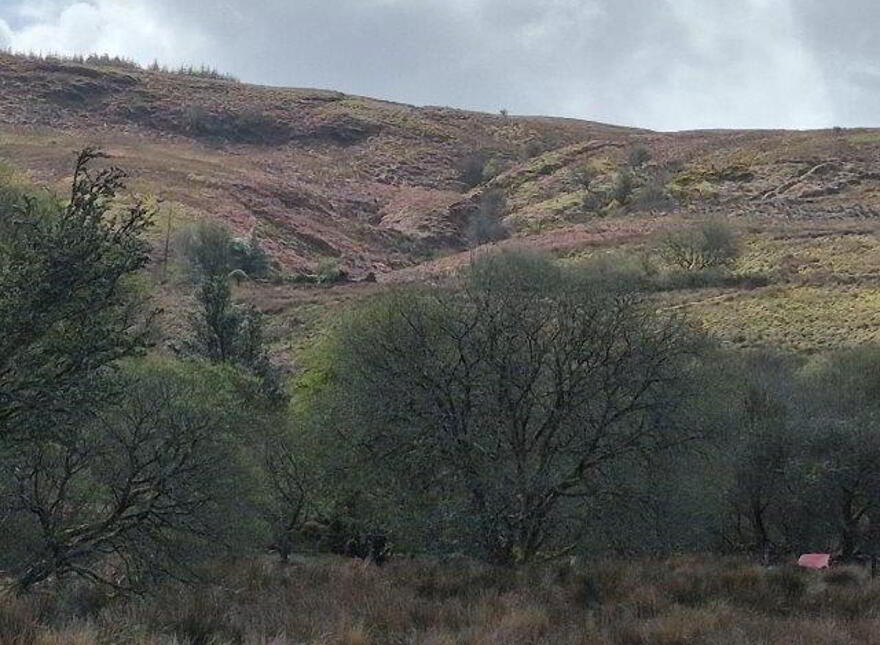 Coolegriene, Dowra