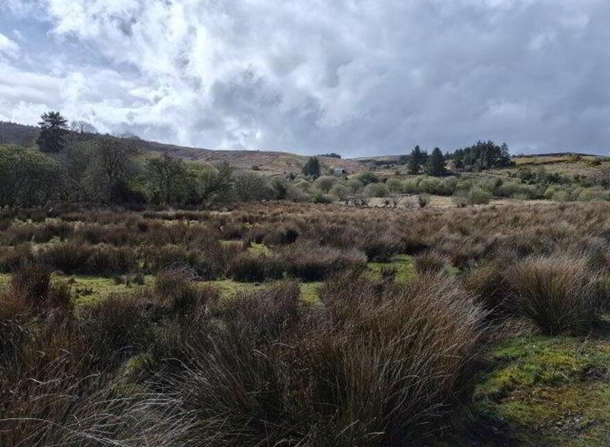 Coolegriene, Dowra