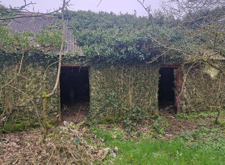 Lecks, Shercock