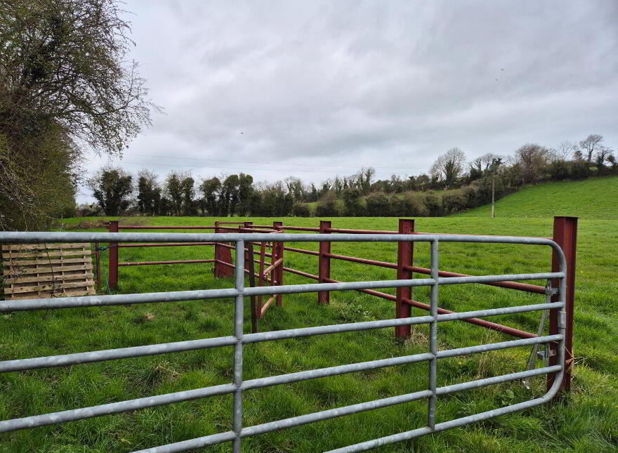 Ballytrasna, Kilanny