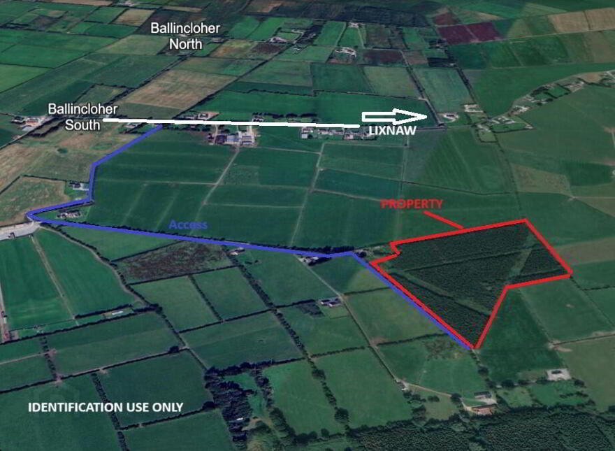 15 Acres, 6.1 Ha Forestry Plantation At Gortadrislig, Lixnaw