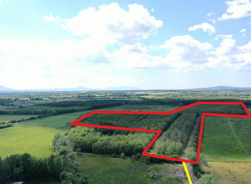 19.7 Acres, Forestry Plantation Clogher, Lixnaw
