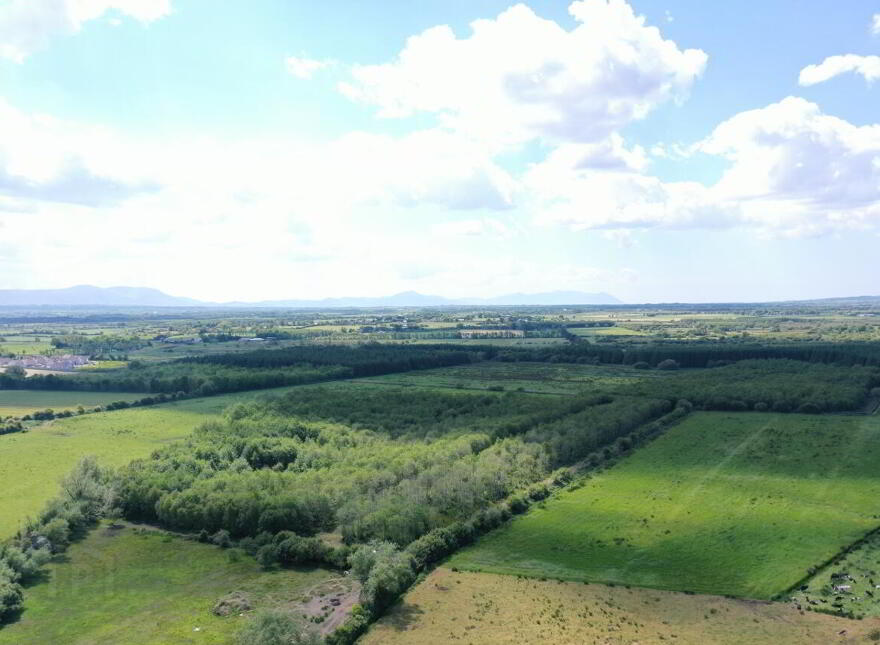 19.7 Acres, Forestry Plantation Clogher, Lixnaw