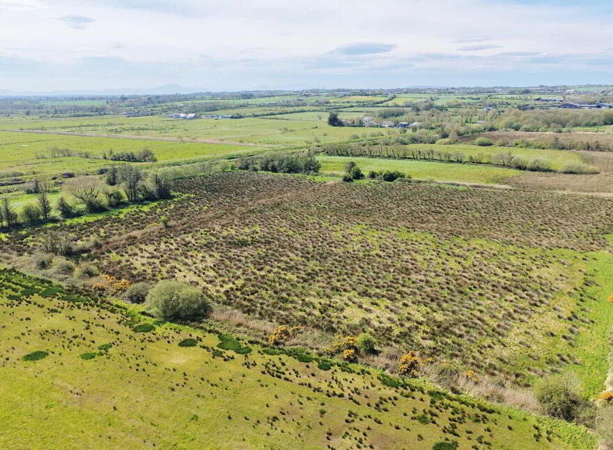 40 Acres, Ballyhorgan, Ballyduff
