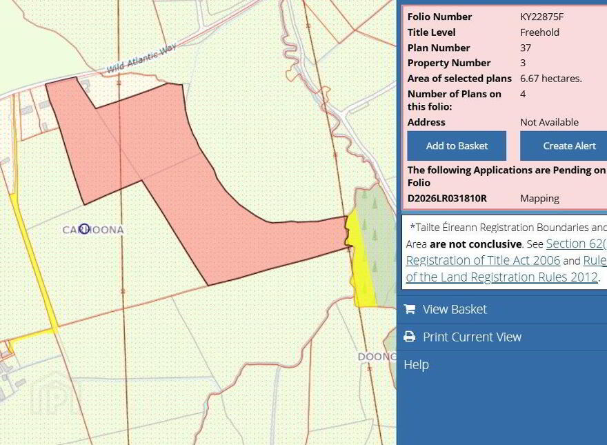 16.48 Acre Forestry Plantation Carhoona, Tarbert