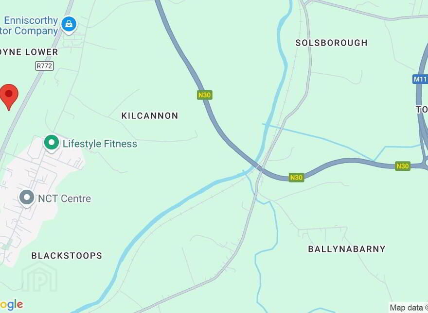 Moyne Lower, Enniscorthy