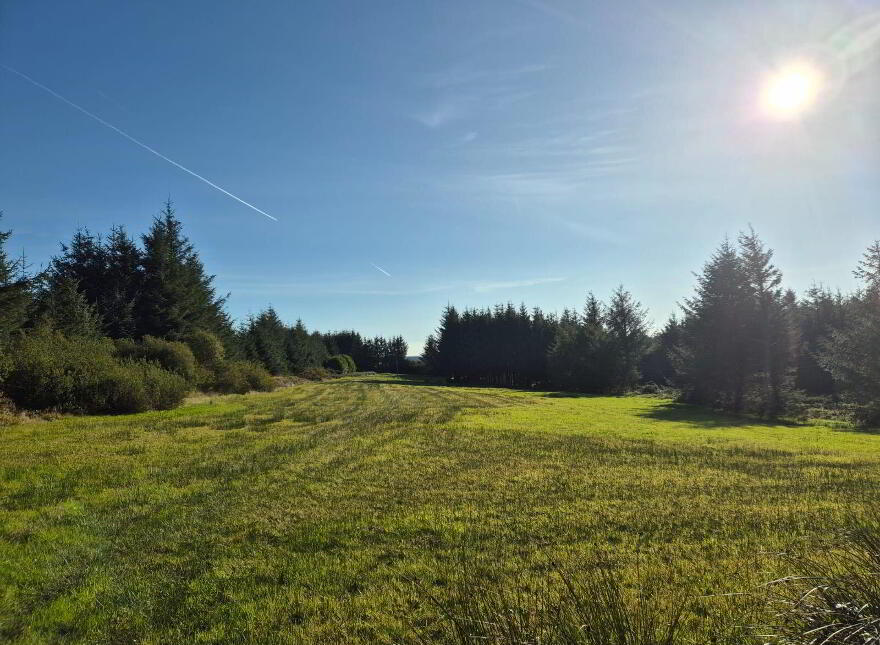 Meenleitrim, Knocknagoshel