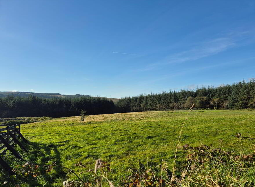 Meenleitrim, Knocknagoshel