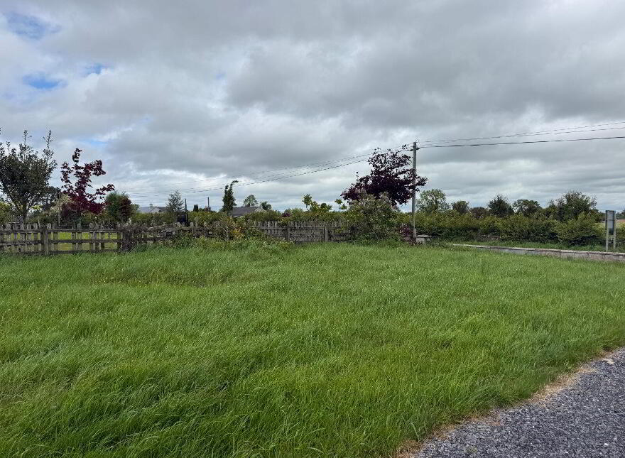 Foygh, Keenagh, N39PW02