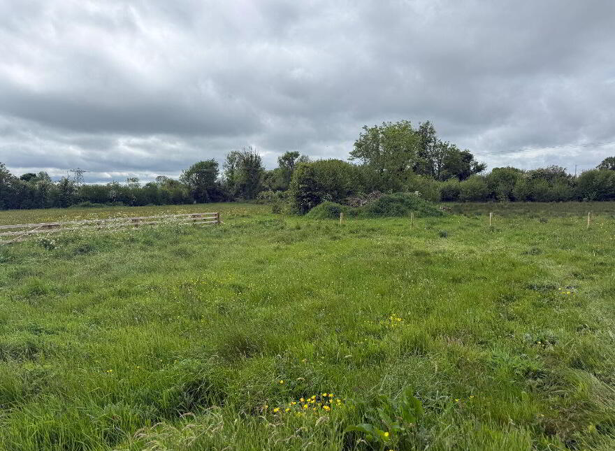 Foygh, Keenagh, N39PW02